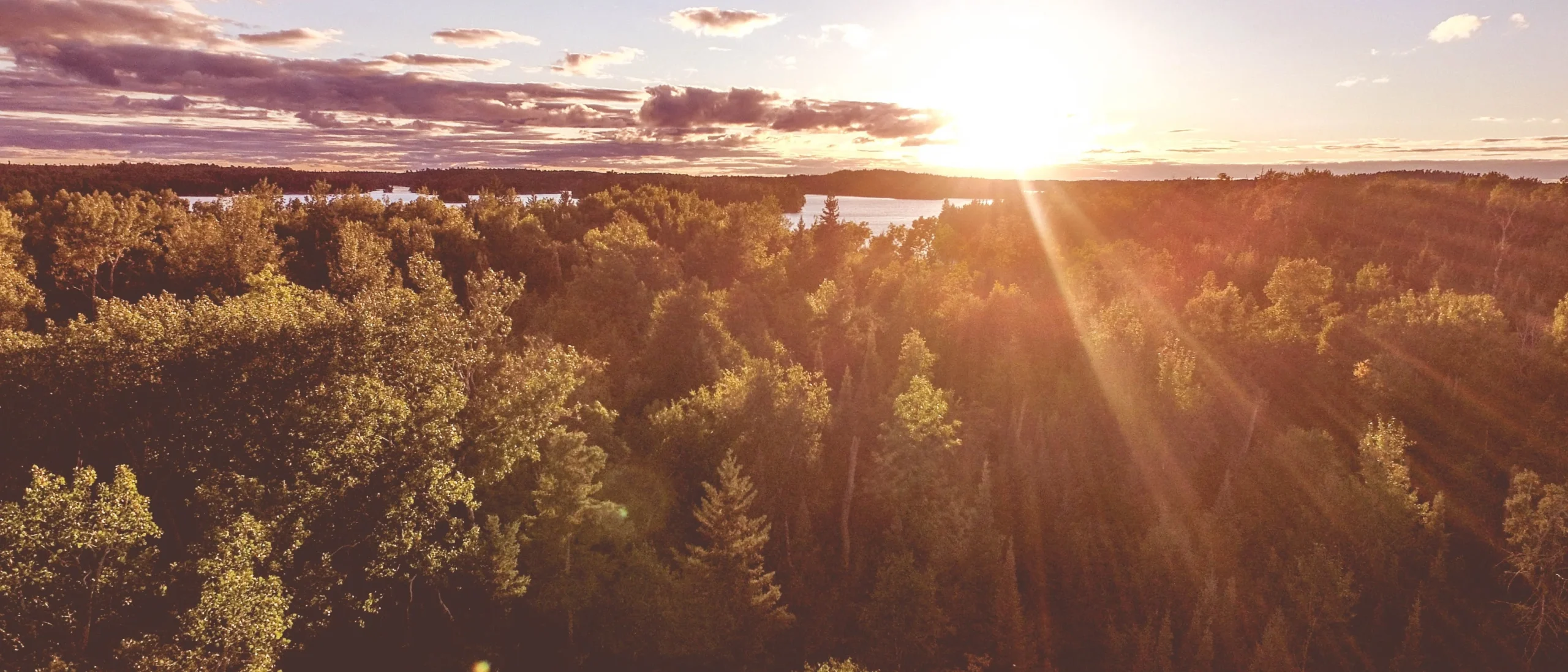 INDIAN ARUBANS Apple Business: A Unique Tech Partnership Shaping the Future