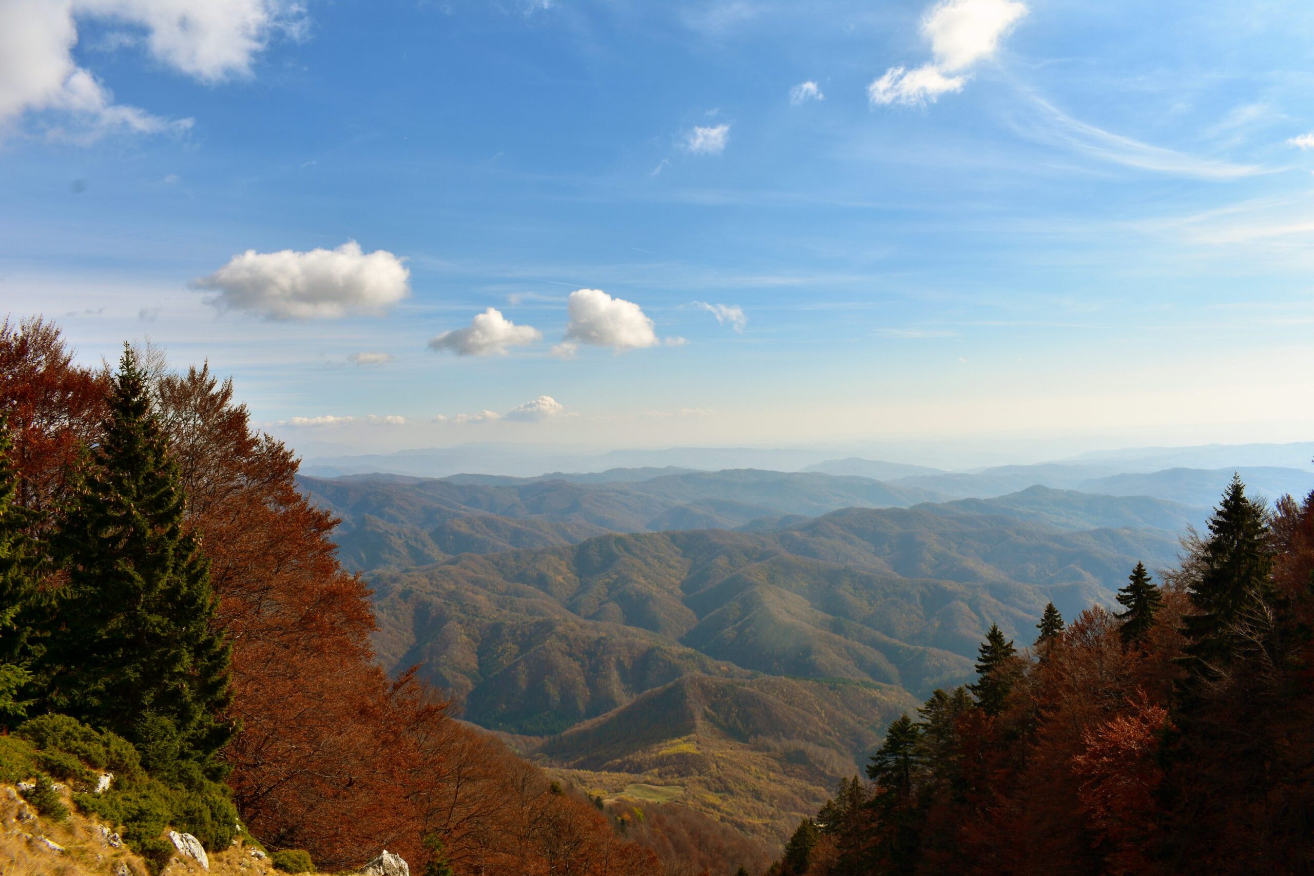 INDIAN Apple Business: Rising Opportunities in the Tech Retail Sector